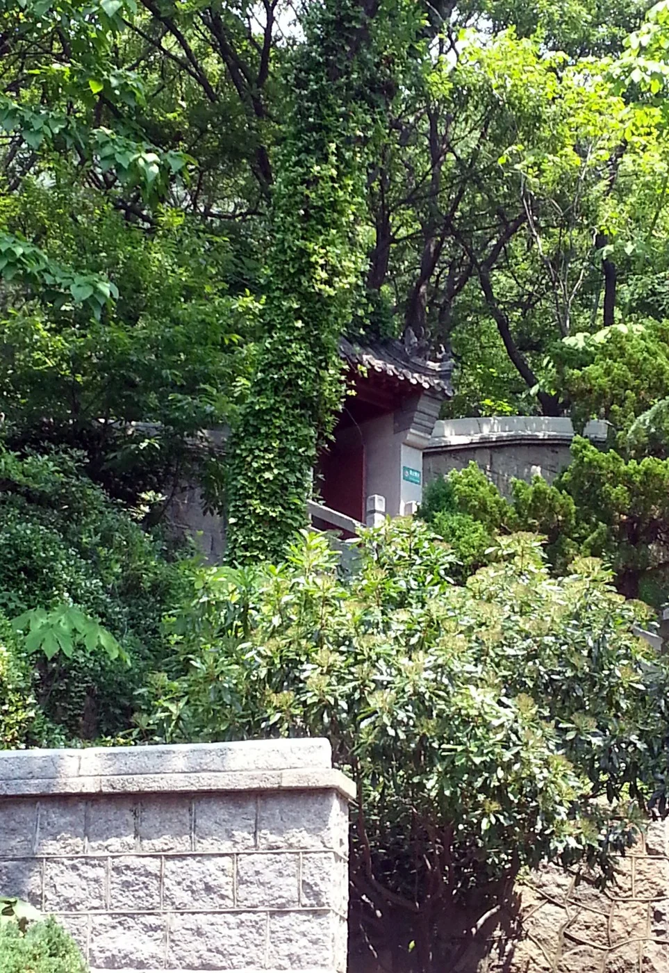 崂山太清宫园林门景